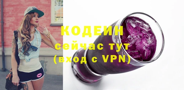 стаф Касимов