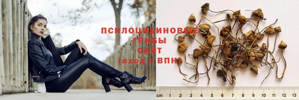 амф Киреевск