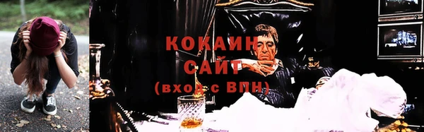 стаф Касимов
