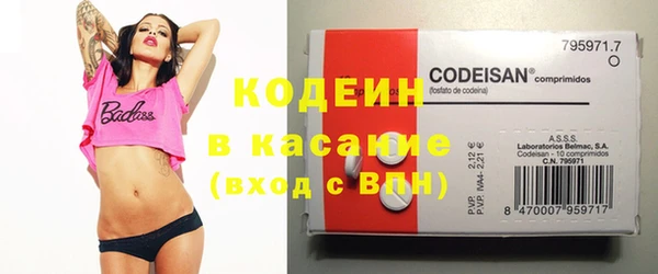 крисы Киренск