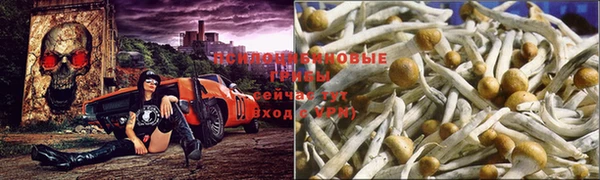 гидра Братск