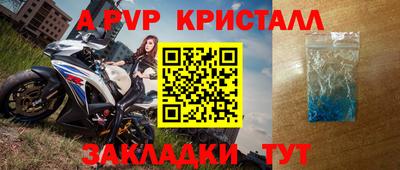 мет Кингисепп