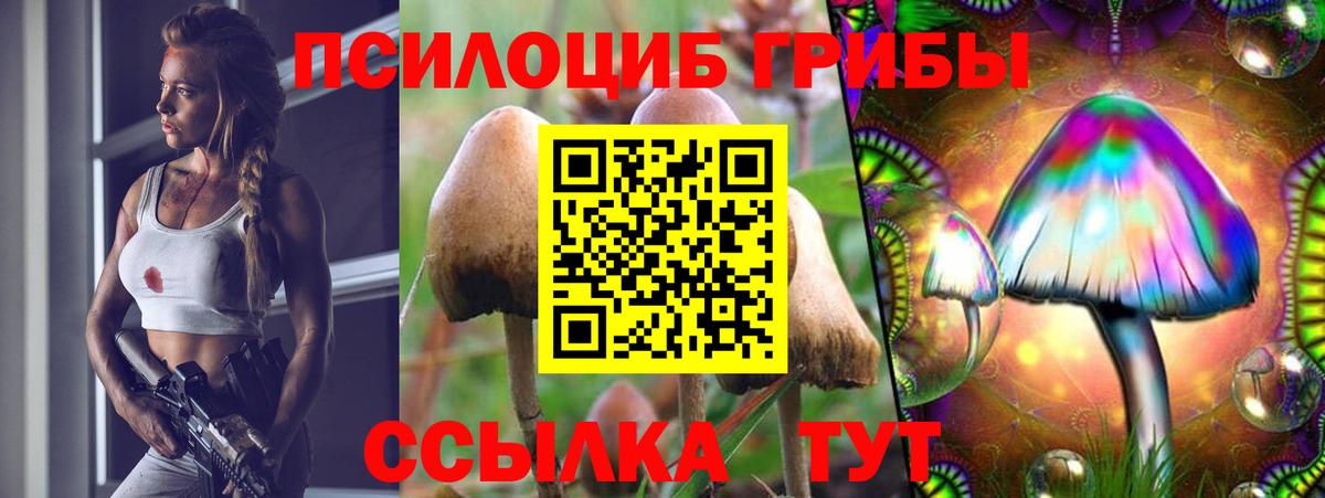 Псилоцибиновые грибы GOLDEN TEACHER  Вход с VPN  Псилоцибиновые грибы Psilocybe  Красный Сулин 